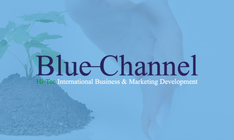 Création site Internet : Blue Channel